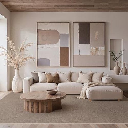 GENIMO Brown Rug 6x9 Washable Area Rugs for Living Room, Soft High Low Pile