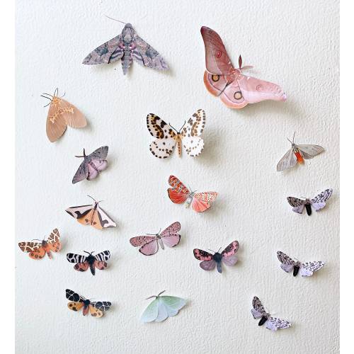Moth decor small paper home and party decor
