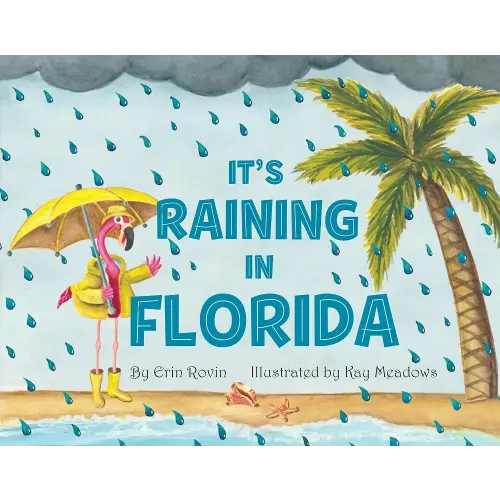 It's Raining in Florida (Pelican)
