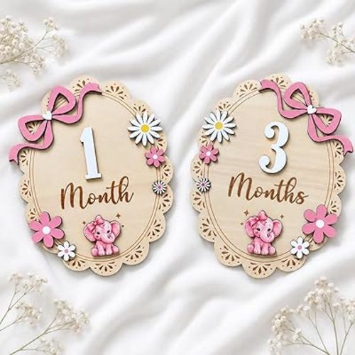 Baby Girl Monthly Milestone Signs, Large 8 Inch Wooden Milestone Disc with Interchangeable Numbers 1-12 Months, Double Sided Pink Elephant Bow Floral Newborn Photo Props (Baby Milestone Sign)