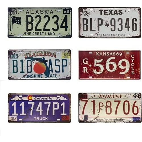Vintage License Plates,License Plate Decor,Old License Plates,That 70s Show Merchandise,Beach Room Decor Aesthetic 6PCS