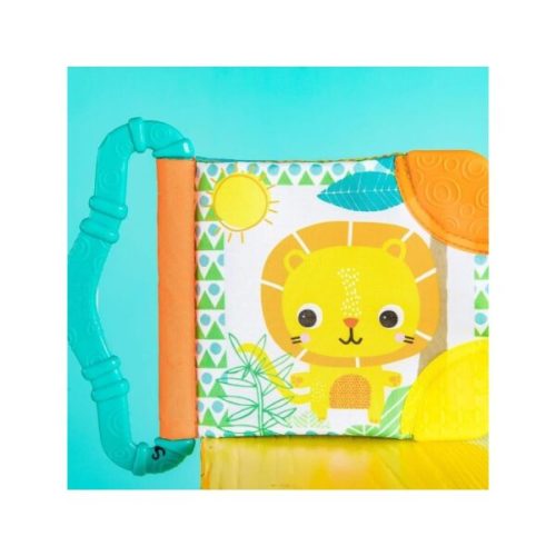 Bright Starts Teethe & Read Teether Book – The Baby Barrel | Where fun & style is alive