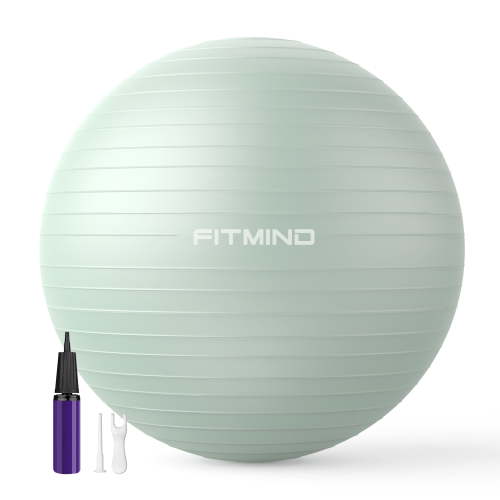 FITMIND_Extra Thick Exercise Ball 65cm Yoga Ball for Workout Pregnancy Stability,Anti-Burst and Slip Resistant Swiss Ball with Pump for Yoga, Pilates, Fitness,Birthing,Physical Therapy (Green 621C)