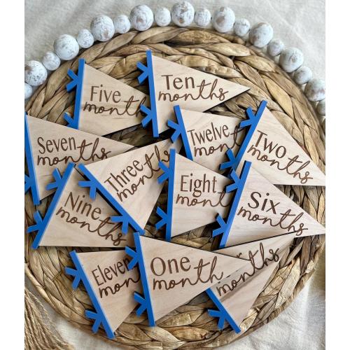 Baby Monthly Milestone Marker, Pennant Flag Milestones, Baby Photo Prop, Modern Baby, Minimalist Baby, Milestone Disc, Monthly Milestones
