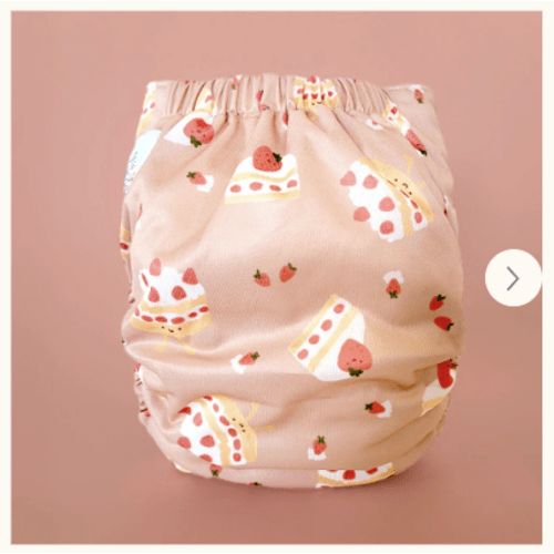 EVOLUTION • Pocket Diaper – La Petite Ourse
