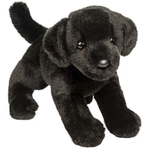 Brewster Black Lab