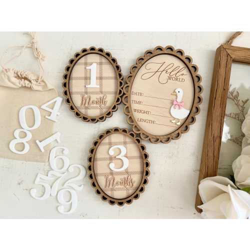 Goose birth stats disc, plaid monthly milestone sign: Wooden milestone discs, baby shower gifts, hello world birth stats sign
