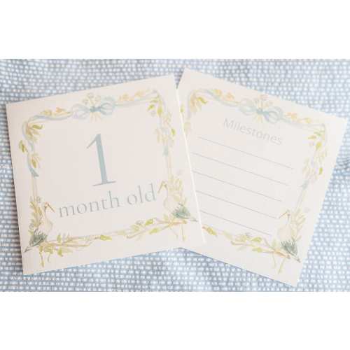 Watercolor Blue Baby Boy Stork Milestone Cards / Floral Crest / Gift / Baby Shower / Classic
