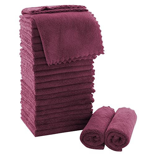 MOONQUEEN Ultra Soft Premium Washcloths Set - 12 x 12 inches - 24 Pack - Quick Drying - Highly Absorbent Coral Velvet Bathroom Wash Clothes - Use as Bath, Spa, Facial, Fingertip Towel (Burgundy)