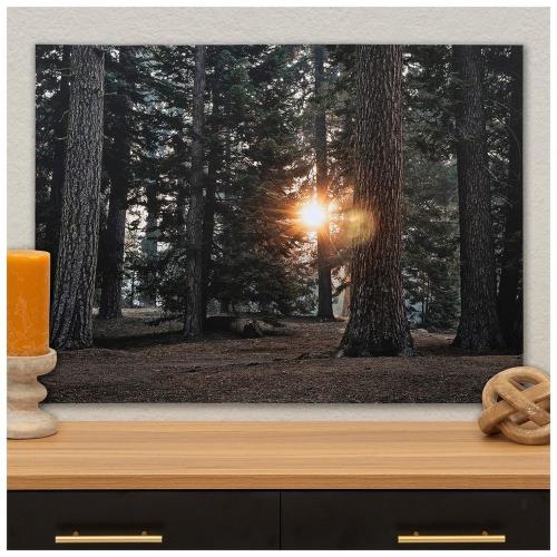 Forest Floor Canvas Wall Decor
