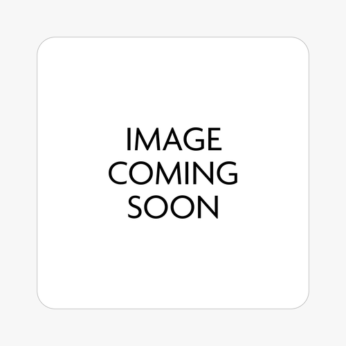 Silver Replacement Locking Latch spring load w/ hardware (100) for VISTA V2