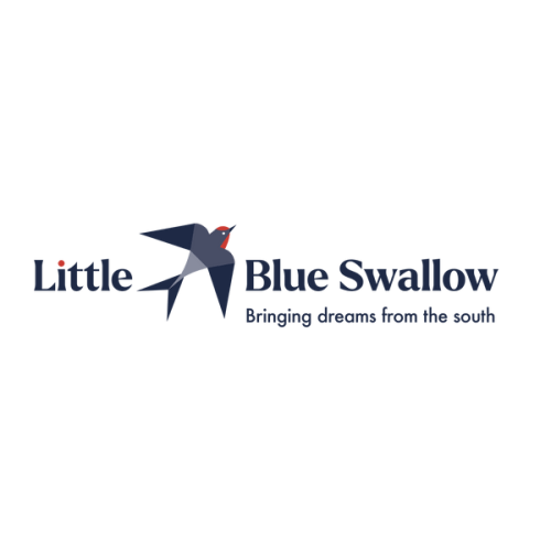 Little Airplanes Baby Pima Cotton Hooded Towel – Little Blue Swallow