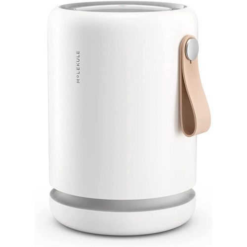 Molekule Air Purifier Mini+ - Purifies Rooms Up to 250 Sq Ft - Smart Purifier with High Pollutant Capture Rate - Air Quality Monitoring Capabilities - White