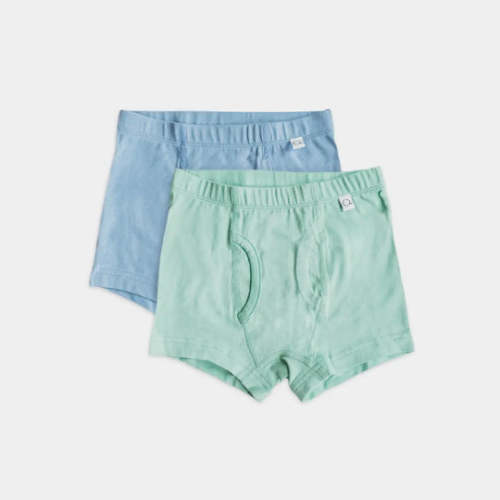 Lichen Eventide Boxer Briefs - 2 Pairs Set – Q for Quinn