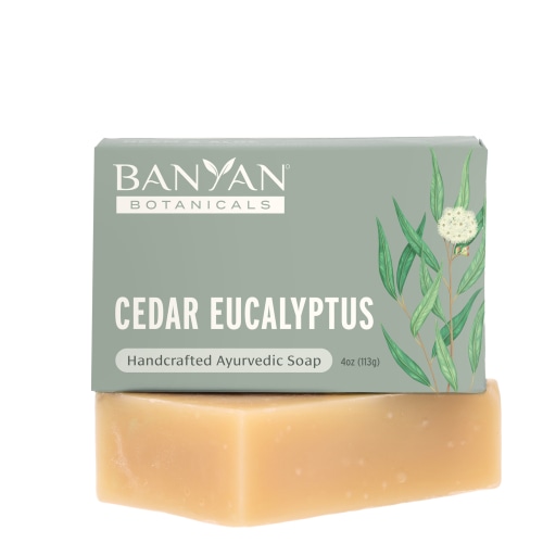 Buy Cedar Eucalyptus Soap Online - Made with Organic Ingredients – Banyan Botanicals