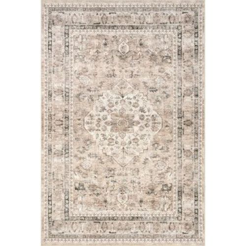Nuloom Davi Faded SplashGuard Machine Washable Area Rug, 6' x 9', Stone