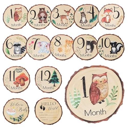 7pcs Baby Monthly Milestone Card Signs Wooden Baby Milestone Sign