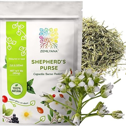 Shepherd's Purse Dried Herb - Shepherds Purse Tea - Cut & Sifted Natural Capsella Bursa-Pastoris - Bolsa De Pastor Hierba - Bulk, 1 lb (16 oz)
