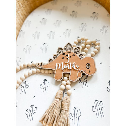 Dinosaur milestone marker, monthly photos, baby shower gift, rattan dinosaur, boho decor, milestone photo prop, monthly photo prop, cane