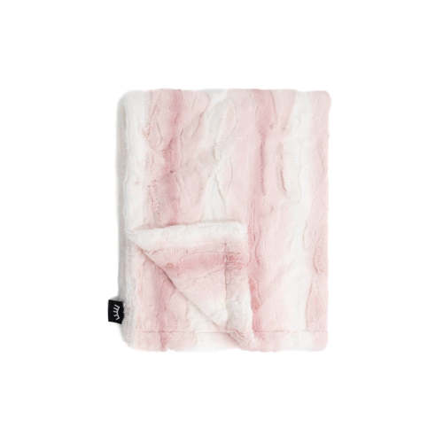 Ombre Blush DS Minky Blanket