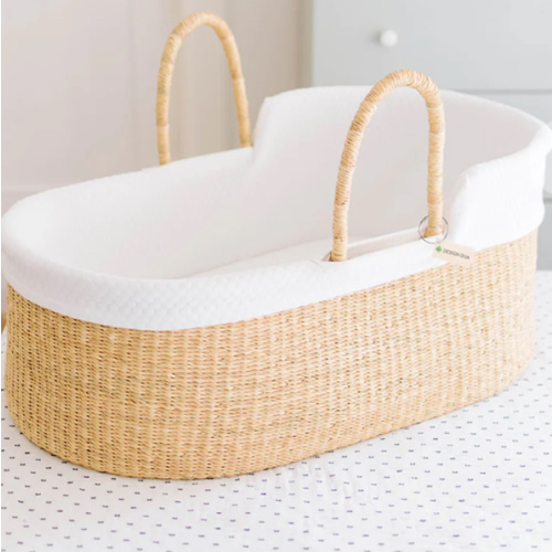 Signature Moses Pod Bundle