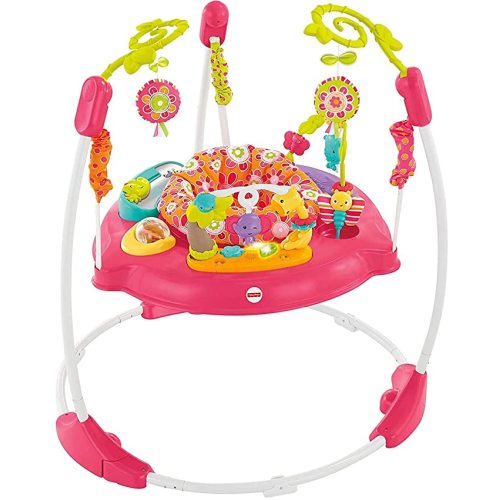 Fisher-Price Jumperoo: Pink Petals