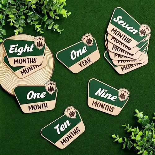 Huray Rayho National Park Baby Monthly Milestone Cards, Wooden Photo Props