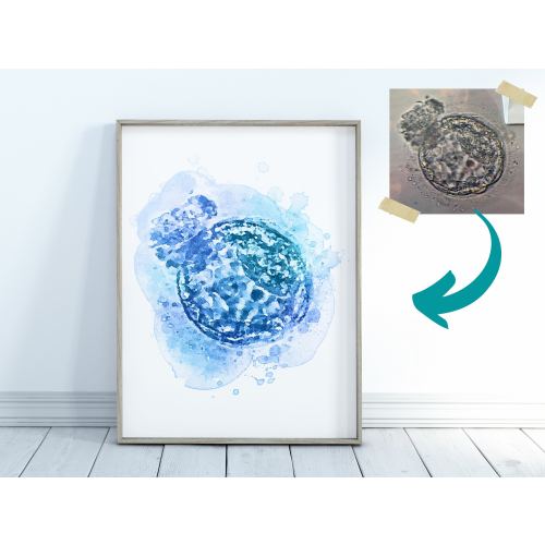 Custom IVF Art Embryo Watercolor Personalized Pregnancy Gift - Nursery Wall Art Fertility Art Pregnancy Art Print Rainbow Baby Shower Decor