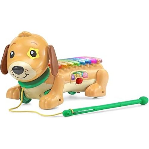 VTech Zoo Jamz Doggy Xylophone