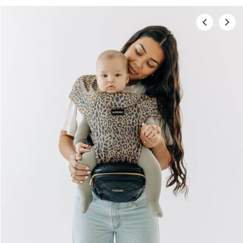 2-in-1 Convertible Carrier