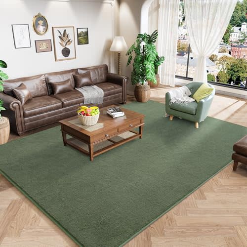 Amearea Sage Green Area Rugs for Bedroom Living Room, 5x8 Memory Foam Rug | Thickened Fluffy Indoor Washable Rugs Non Slip Minimalist Large Carpet for Boys Girls Dorm Nursery Room Decor