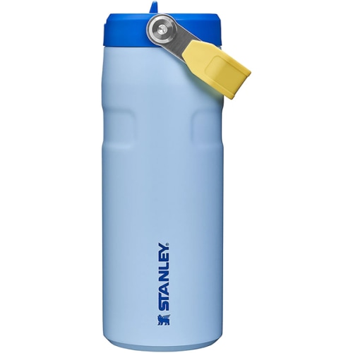 Stanley IceFlow 16 oz. Flip Straw Lid Water Bottle | Academy