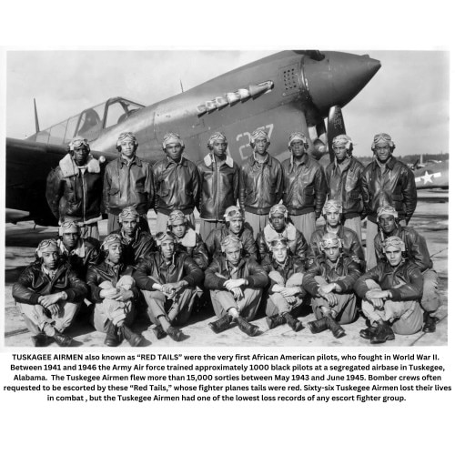 Tuskegee Airmen / Red Tails / Black History / African American Art / Black Art / UNFRAMED