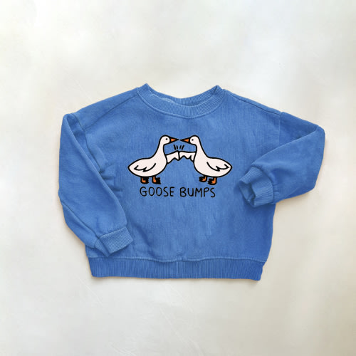 GOOSE BUMPS Baby & Kids Pattern Blue Sweatshirt