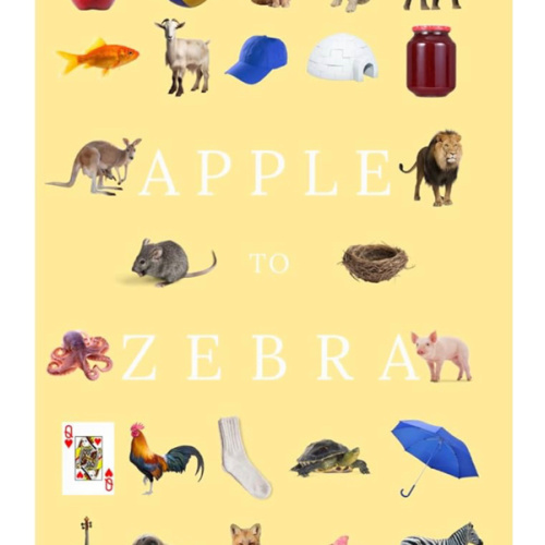 Apple to Zebra - A Primer Designed to Align with Phonics Instruction