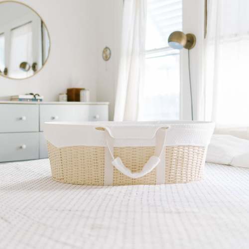 Ark Bassinet