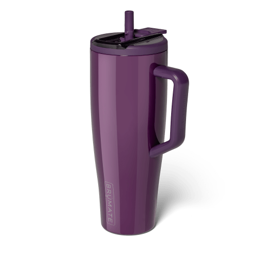 Era Flip 40oz | Plum