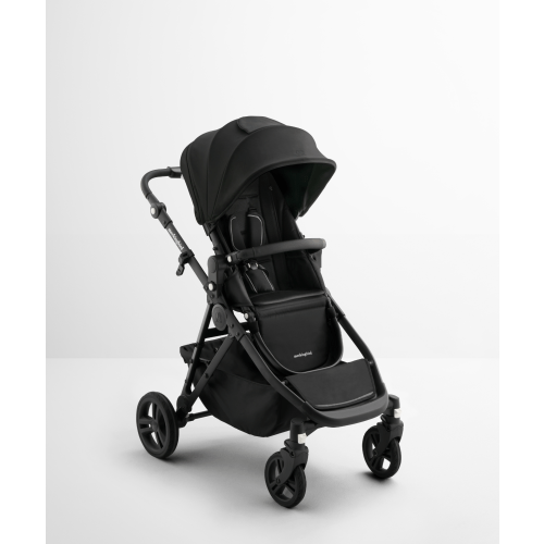 Single-to-Double Stroller 3.0