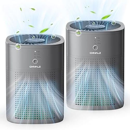 2 Pack CHIVALZ Air Purifiers for Bedroom with True HEPA Filter for Smoke, Dust, Pollen, Pet Dander, Small Air Purifiers for Home Bedroom, Quiet Air Cleaner with 24dB Sleep Mode, Deep Grey