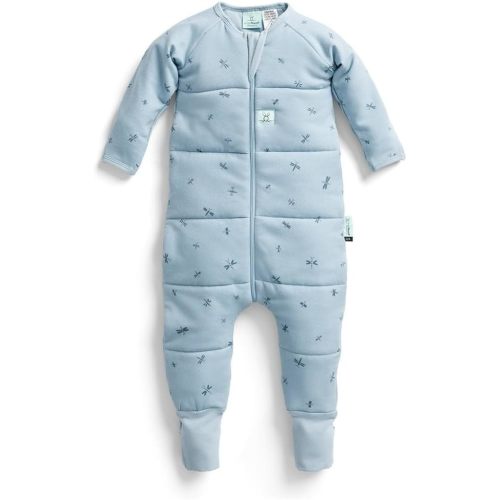 ergoPouch Sleep Onesie 2.5 TOG – Warm Baby Romper & Sleep Layer with Full-Zip, Guarding Against Blankets, Breathable & Movement-Friendly, Ideal for Transitional Sleeping (2-3 Years, Dragonflies)