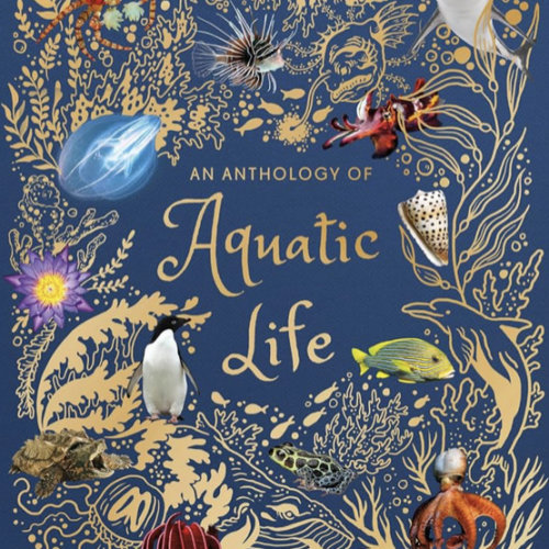 An Anthology of Aquatic Life: Discover the Secret Lives Under the Sea (DK Children's Anthologies)