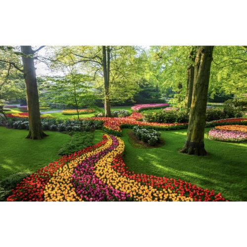 Garden Help