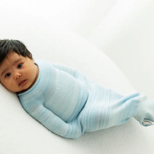 Blue Swaddle Sleep Sack – Swaddelini