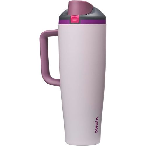 Owala FreeSip Tumbler Insulated Stainless Steel Water Bottle with Built-in Straw and Side Handle, For Travel, Work, School, and Sports, 40oz, BPA Free, Leak Proof, Dreamy Field