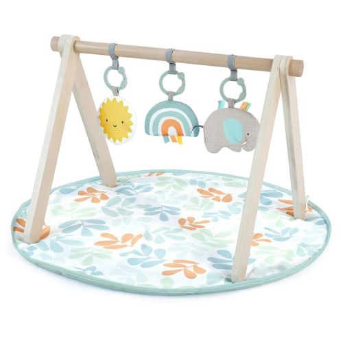 Ingenuity Sun Valley™ Wooden Toy Arch & Play Mat
