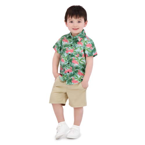 Little Rebels Toddler Boy Flamingo 2 Piece Short Set, Size 2T-4T