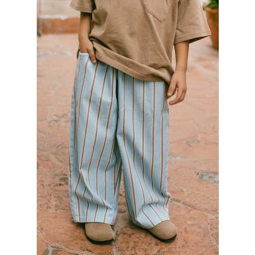 Retro Twill Pants- Blueberry Muffin – Fostered Collection