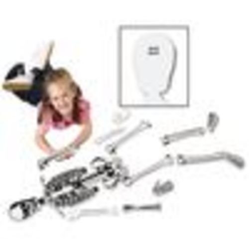 Foam Skeleton Floor Puzzle - 15 Pieces