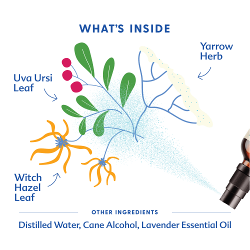 Sitz Bath Spray | Motherlove – Motherlove Herbal Company