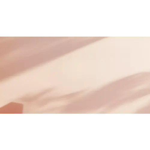 Whats in the box 1 year – godli.com